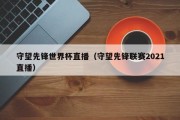 守望先锋世界杯直播（守望先锋联赛2021直播）
