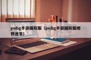 pubg手游国际服（pubg手游国际服地铁逃生）