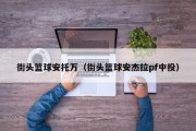 街头篮球安托万（街头篮球安杰拉pf中投）