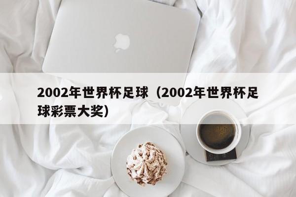 2002年世界杯足球(2002年世界杯足球彩票大奖)