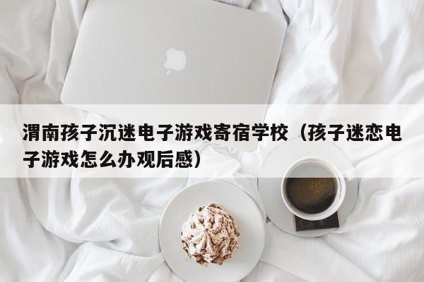 渭南孩子沉迷电子游戏寄宿学校(孩子迷恋电子游戏怎么办观后感)