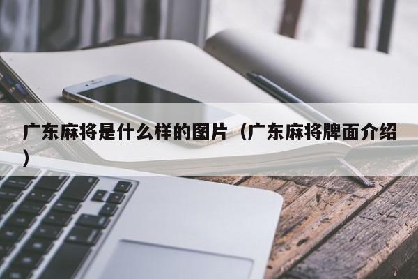 广东麻将是什么样的图片(广东麻将牌面介绍)