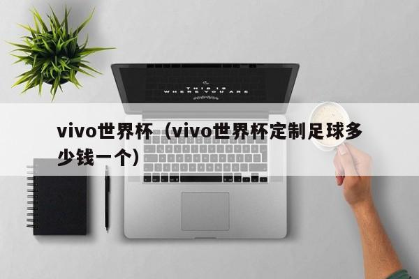 vivo世界杯(vivo世界杯定制足球多少钱一个)