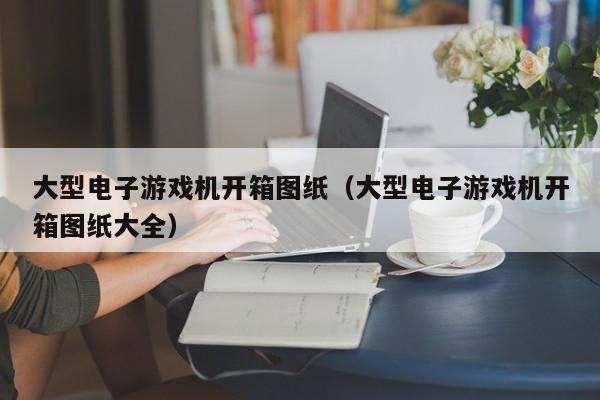 大型电子游戏机开箱图纸(大型电子游戏机开箱图纸大全)